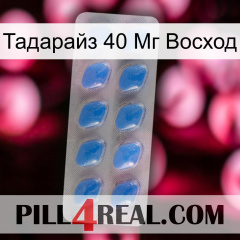 Тадарайз 40 Мг Восход 22